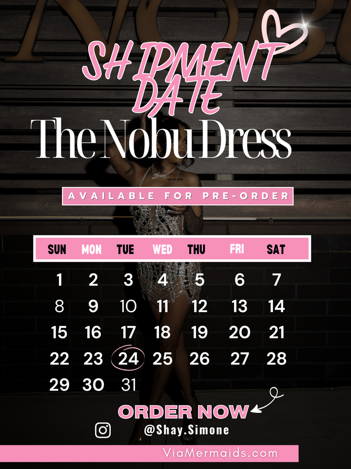 The Nobu Dress Silver