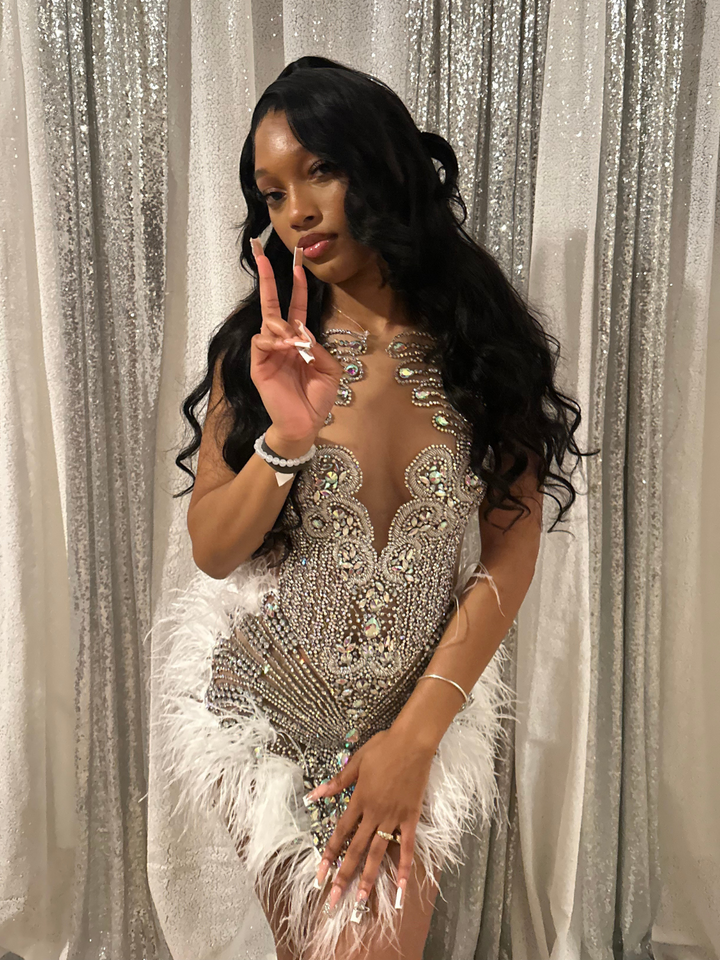 Baddie 2.0 Silver Rhinestone Dress with White Feathers