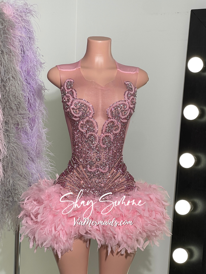 Sitting Pretty Princess - Custom Rhinestone Dress with Feathers
