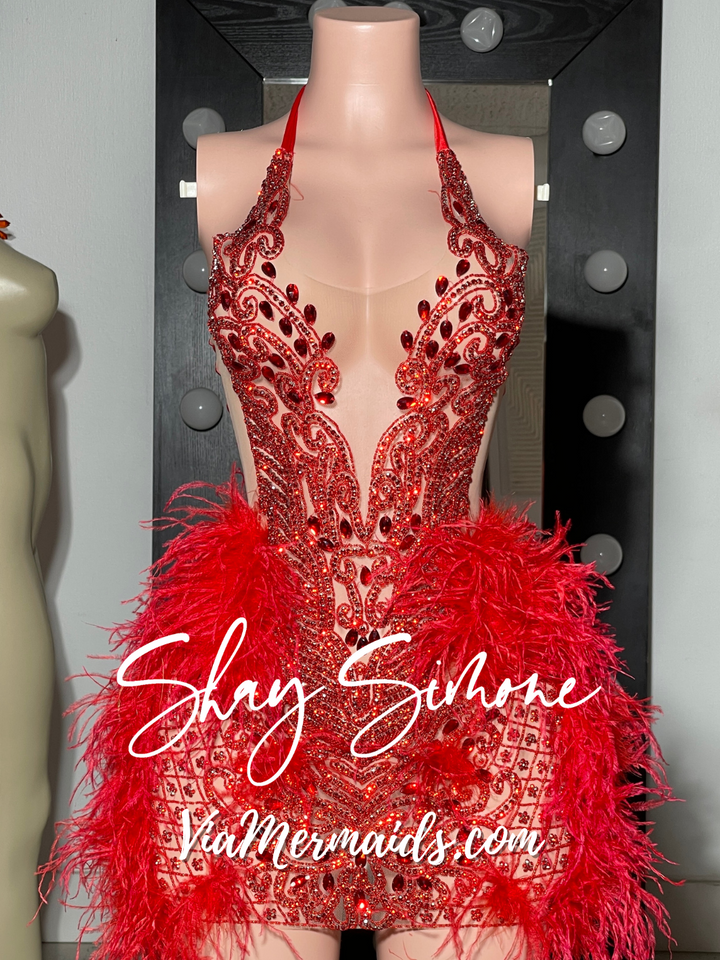 The Nola Barbie Dress with Feathers