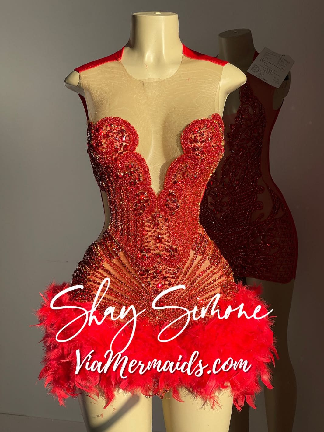 Sitting Pretty Princess - Custom Rhinestone Dress with Feathers