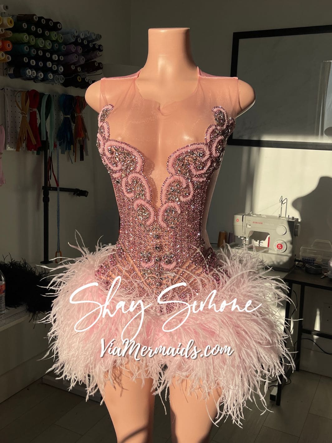 The Girl They LOVE TO HATE Custom Rhinestone Dress with Feathers