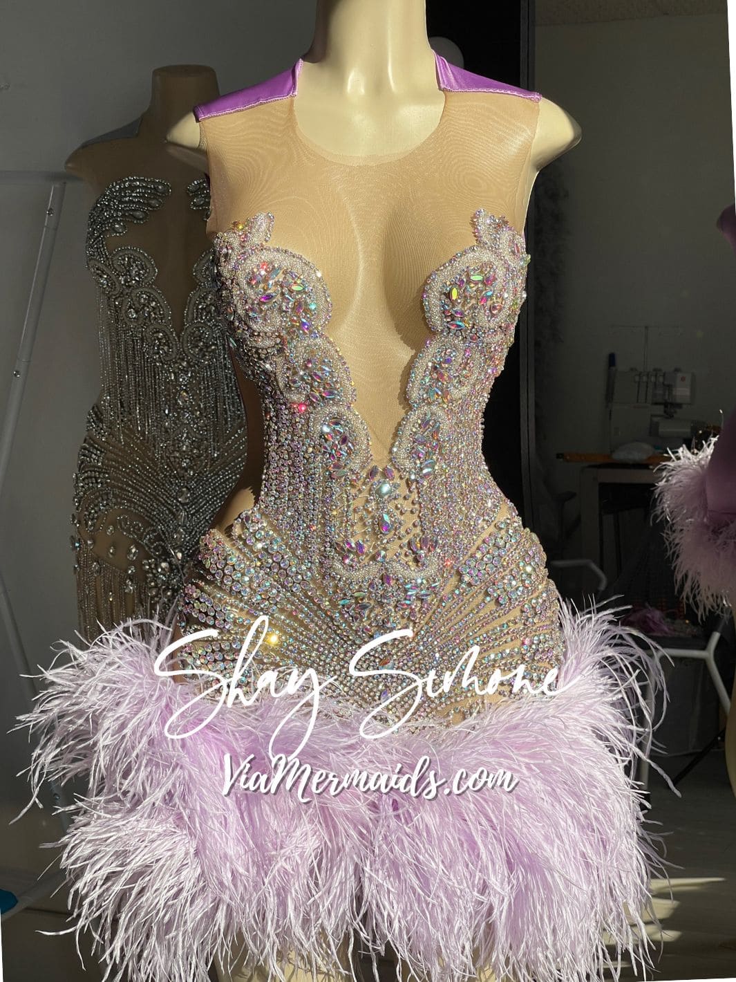 The Girl They LOVE TO HATE Custom Rhinestone Dress with Feathers