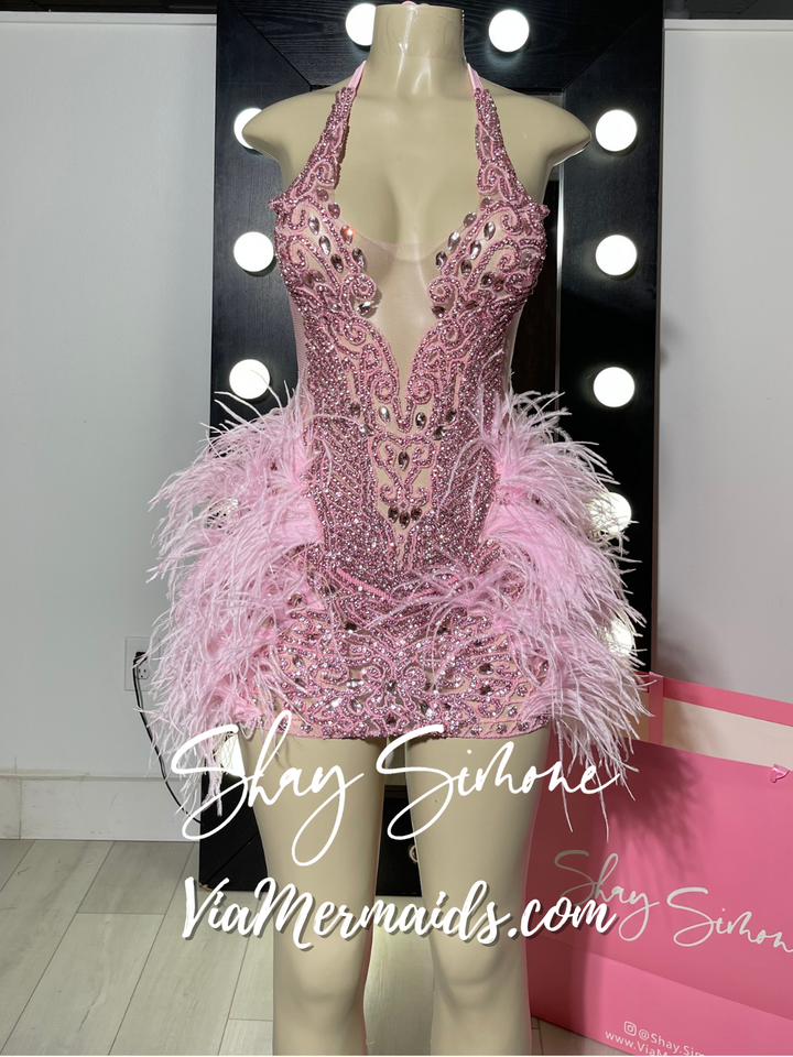 The Nola Barbie Dress with Feathers