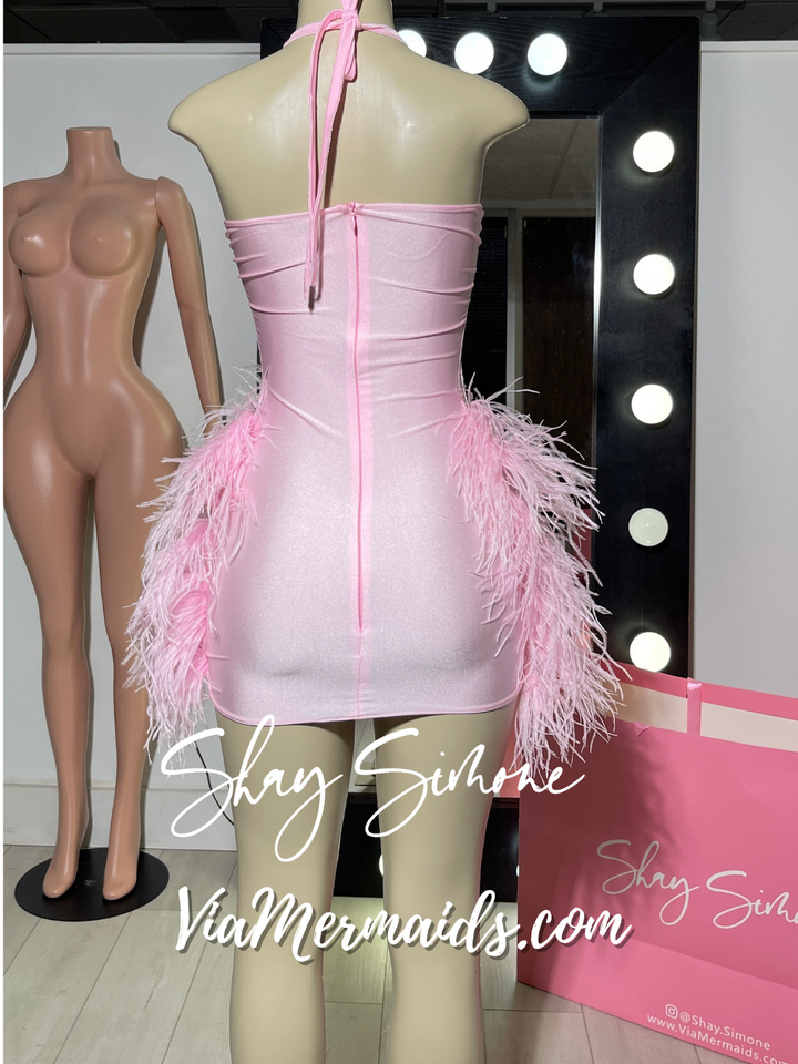 The Nola Barbie Dress with Feathers