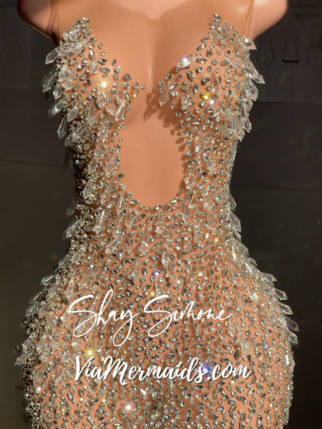 The Tiani Crystal Sheer Dress with Chandelier Crystals