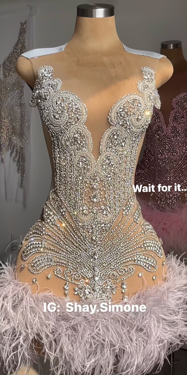 The Girl They LOVE TO HATE Custom Rhinestone Dress with Feathers