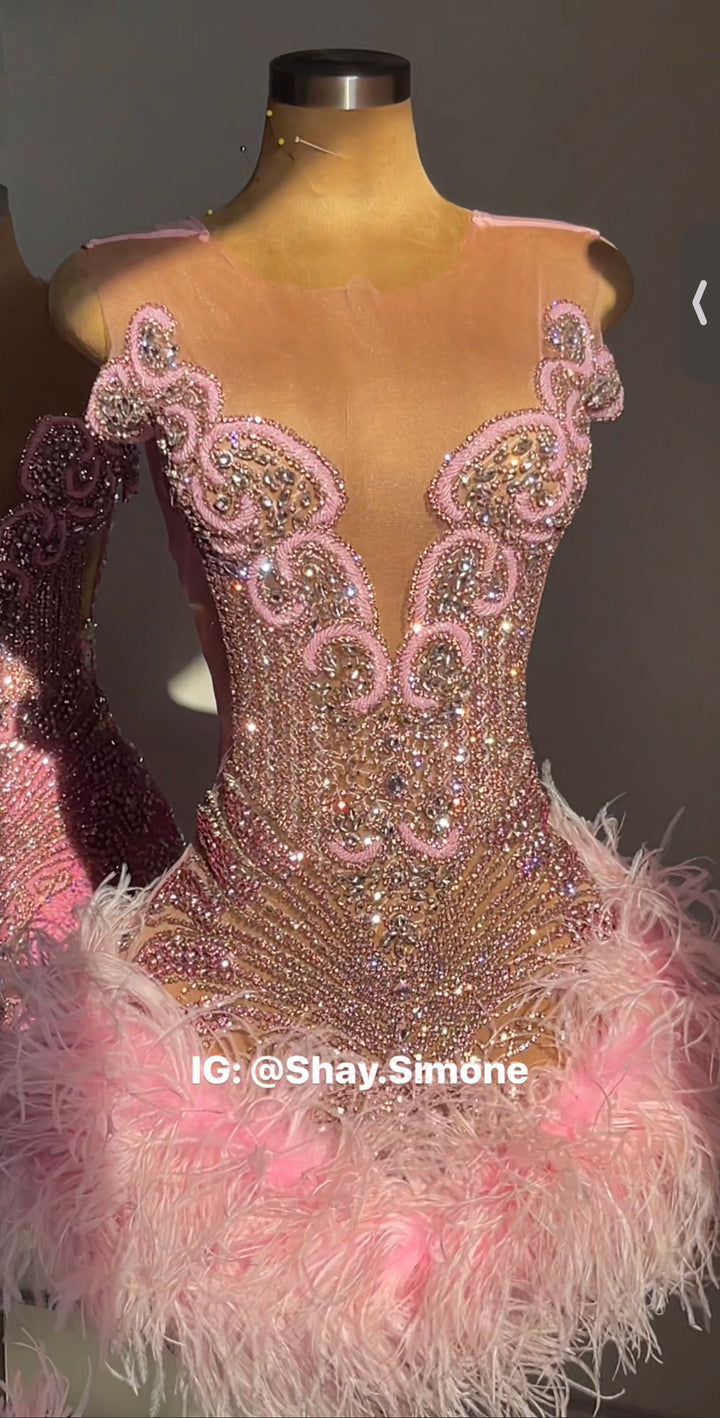 The Girl They LOVE TO HATE Custom Rhinestone Dress with Feathers