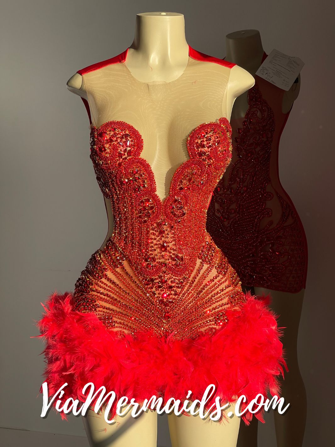 Sitting Pretty Princess - Custom Rhinestone Dress with Feathers