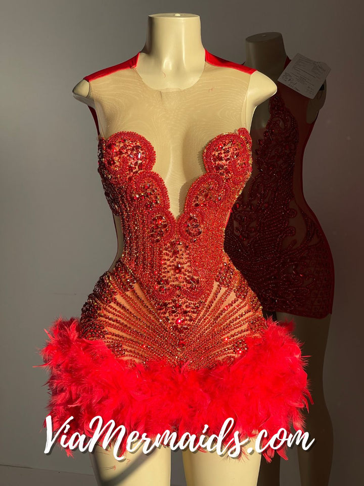 Sitting Pretty Princess - Custom Rhinestone Dress with Feathers