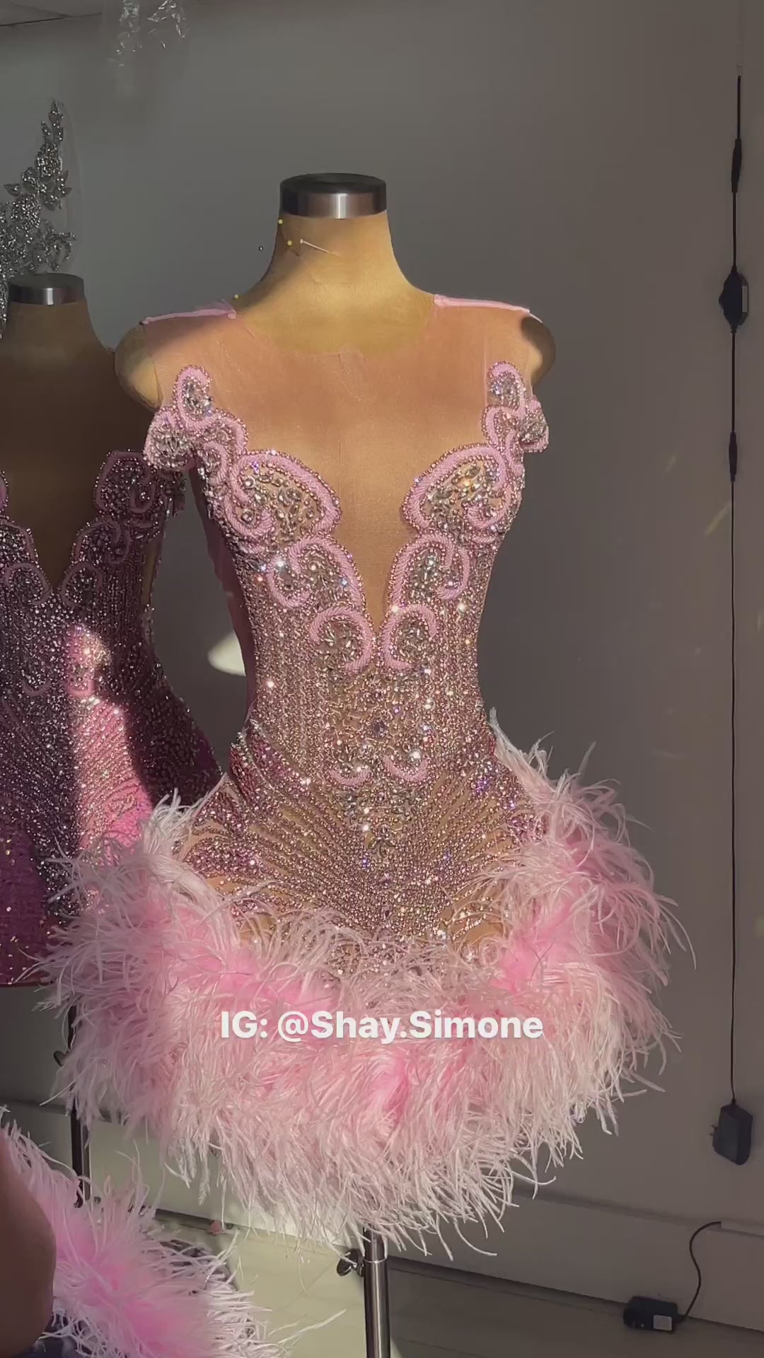 The Girl They LOVE TO HATE Custom Rhinestone Dress with Feathers