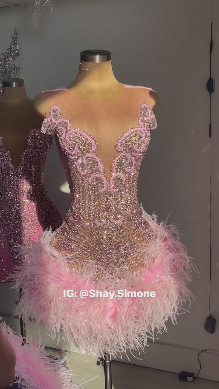 The Girl They LOVE TO HATE Custom Rhinestone Dress with Feathers