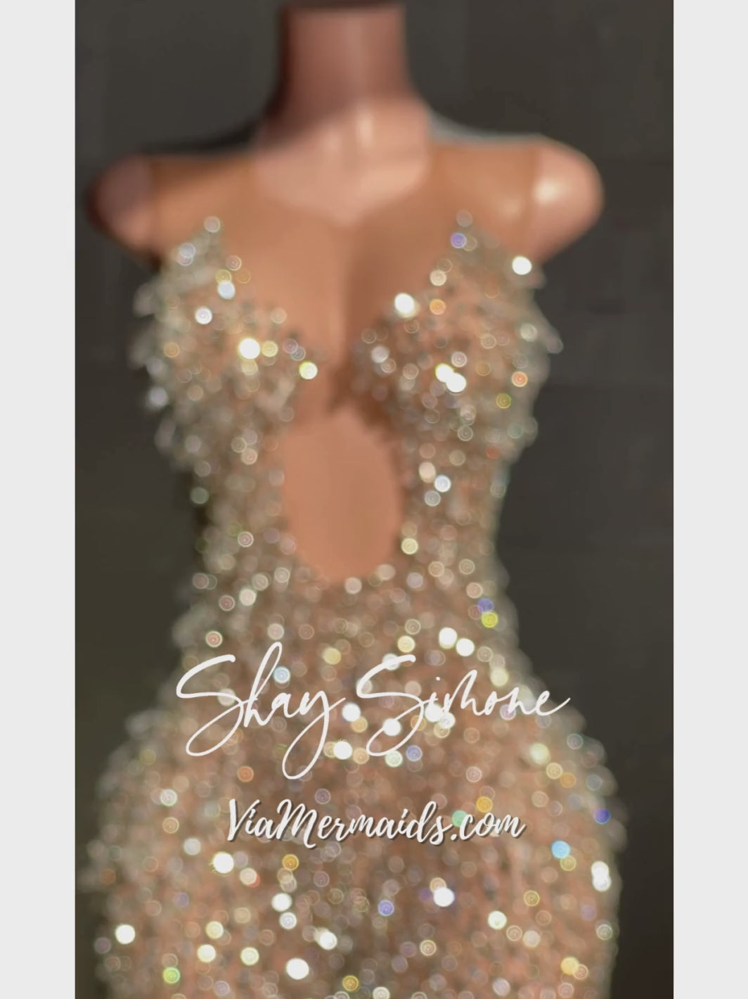 The Tiani Silver Crystal Sheer Dress with Clear Chandelier Crystals