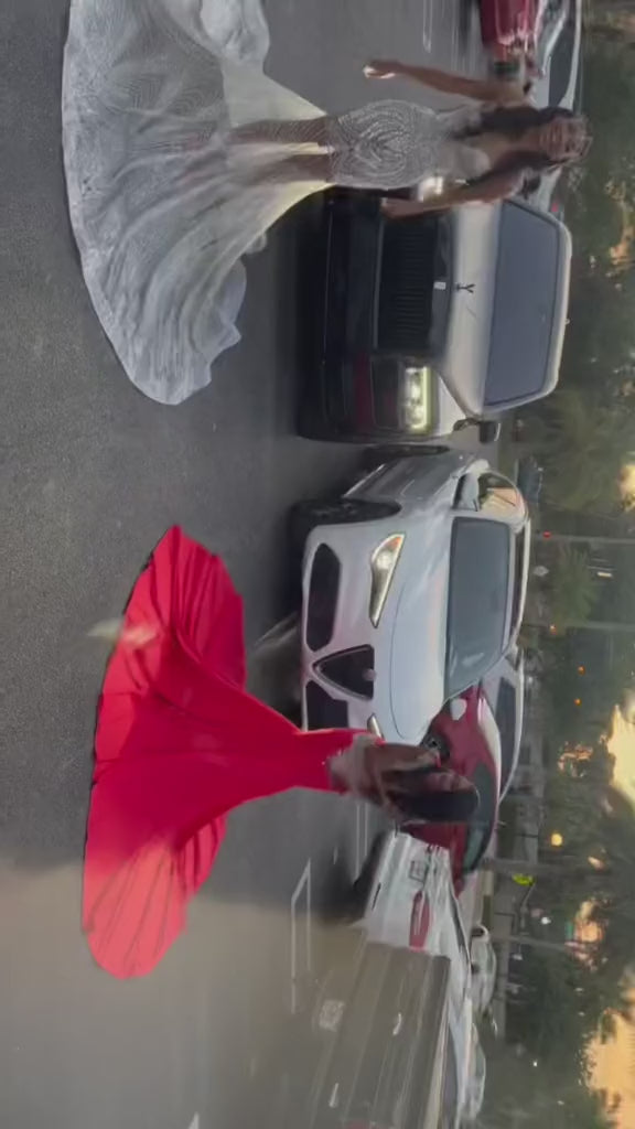 Crimson Red & Silver Dress